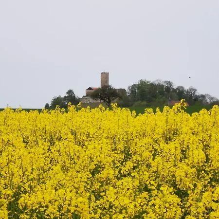 Daire Im Herzen Des Kraichgaus 1