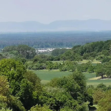 Im Herzen Des Kraichgaus 1 Ostringen