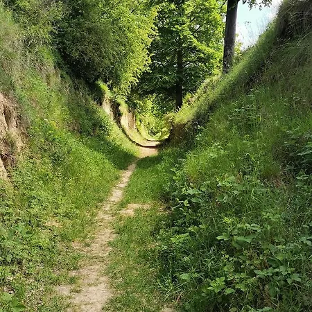 Im Herzen Des Kraichgaus 1 * Ostringen