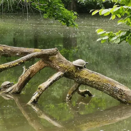 Daire Im Herzen Des Kraichgaus 1 Ostringen