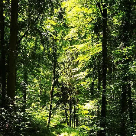 Im Herzen Des Kraichgaus 1 * Ostringen