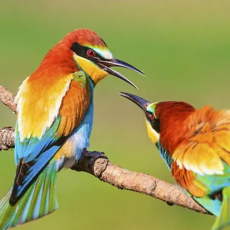 Im Herzen Des Kraichgaus 1 Ostringen
