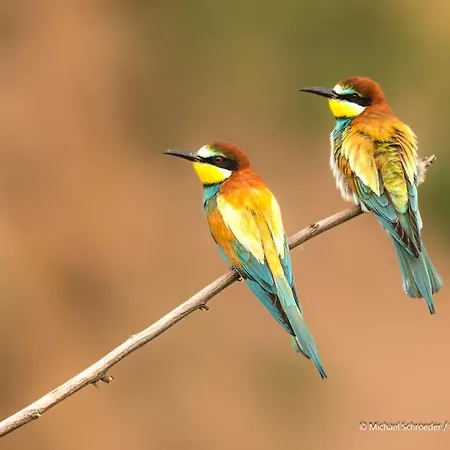 Im Herzen Des Kraichgaus 1 Διαμέρισμα *